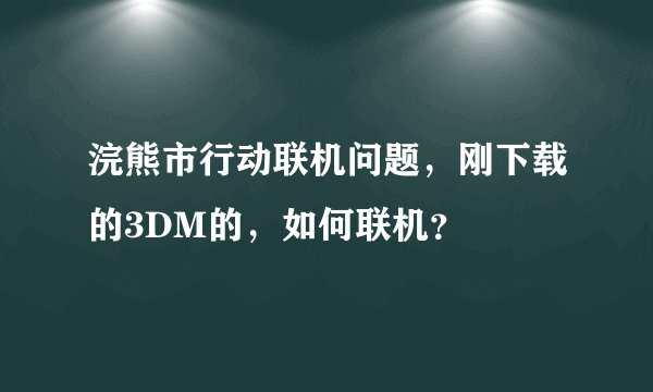 浣熊市行动联机问题，刚下载的3DM的，如何联机？