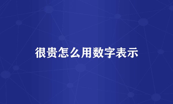 很贵怎么用数字表示