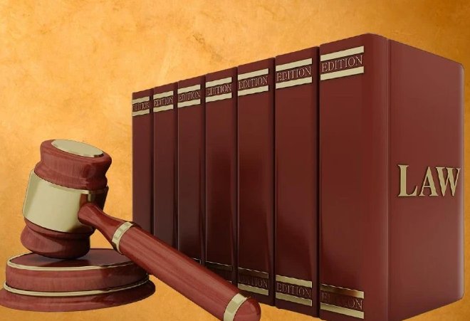 法律无情的经典句子