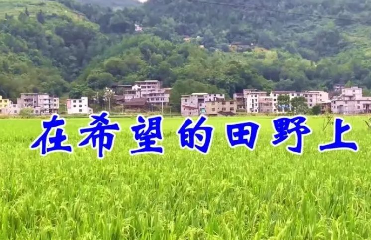 在希望的田野上原唱是谁