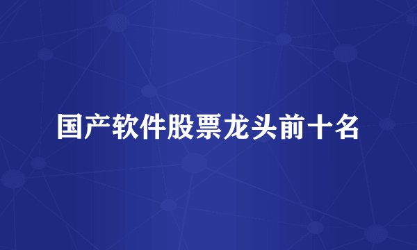 国产软件股票龙头前十名