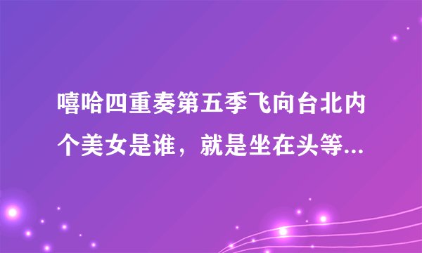 嘻哈四重奏第五季飞向台北内个美女是谁，就是坐在头等舱的那个“恐怖分子”
