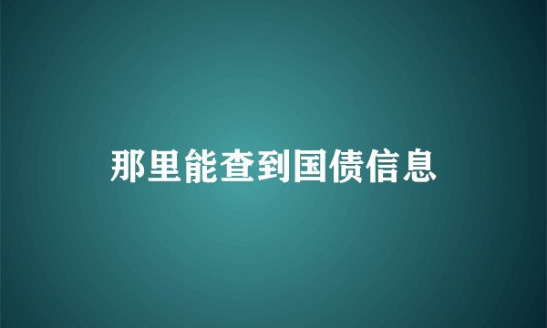 那里能查到国债信息