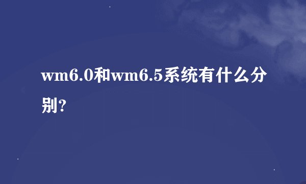 wm6.0和wm6.5系统有什么分别?