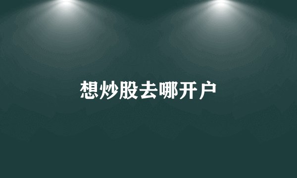 想炒股去哪开户