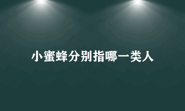 小蜜蜂分别指哪一类人