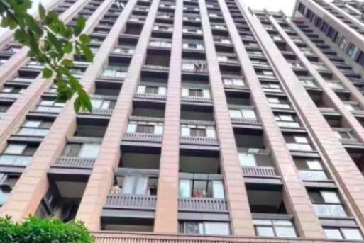 天降哈士奇砸伤老人孩子，警方是怎样回应的？高空抛物为何屡禁不止？