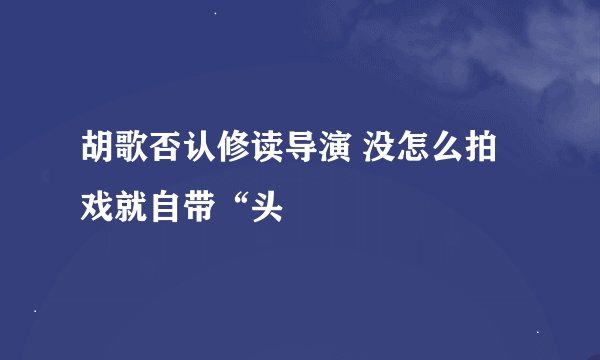 胡歌否认修读导演 没怎么拍戏就自带“头