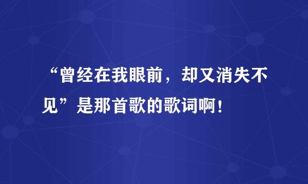 “曾经在我眼前，却又消失不见”是那首歌的歌词啊！