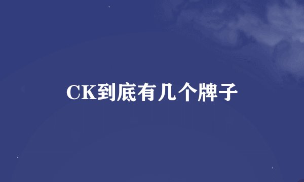 CK到底有几个牌子