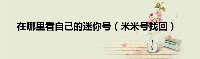 在哪里看自己的迷你号米米号找回