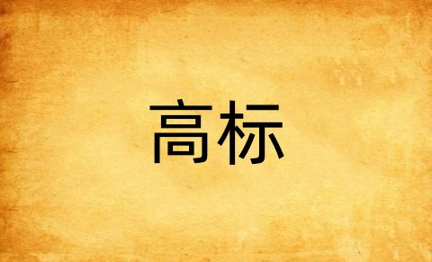 高标是什么意思