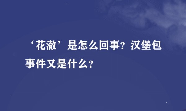 ‘花澈’是怎么回事？汉堡包事件又是什么？