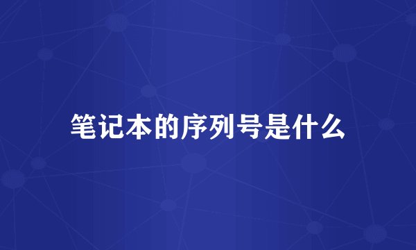 笔记本的序列号是什么