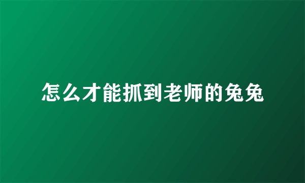 怎么才能抓到老师的兔兔