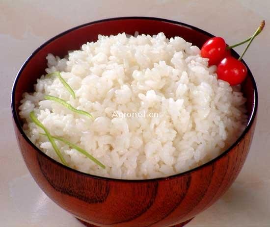 米饭网的米饭网荣誉