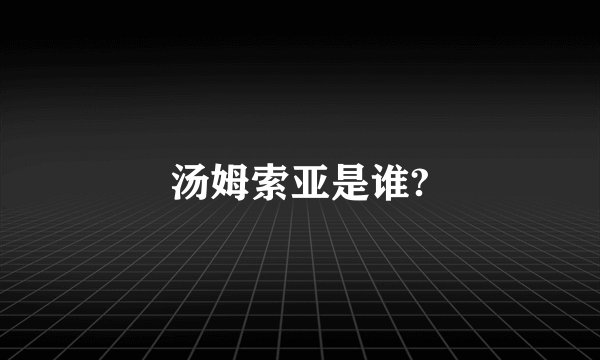 汤姆索亚是谁?