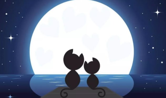 关于七夕节本人出租的搞笑说说