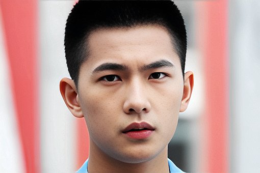 花开半夏 电视剧剧情简介