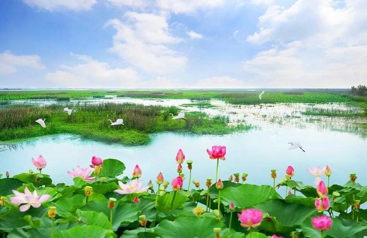 洪泽湖在哪个省 面积是多少平方千米