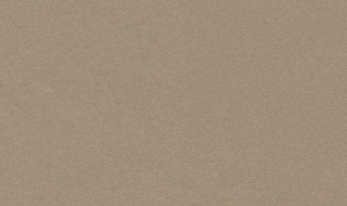 浅咖色是什么颜色 浅咖色的色调是什么