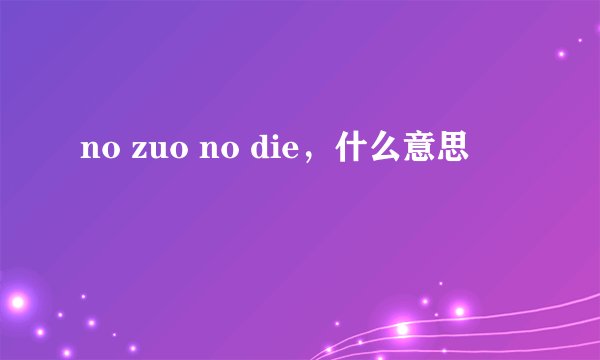 no zuo no die，什么意思
