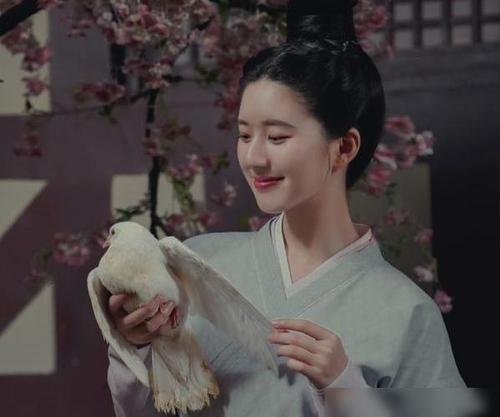 网友大开脑洞给迪丽热巴、赵露思起cp名，你觉得叫什么比较不错？