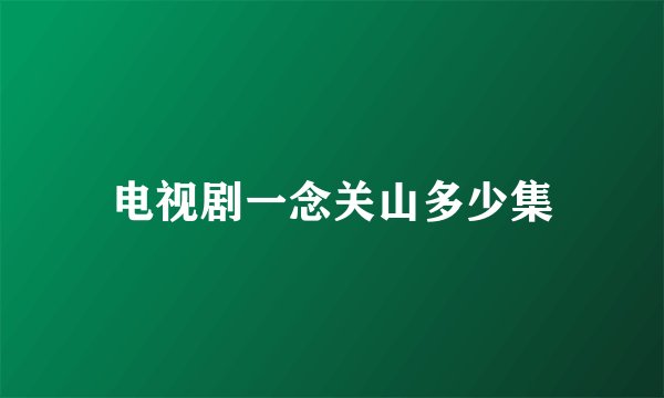 电视剧一念关山多少集