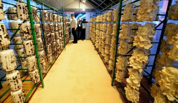 工贸企业指什么企业