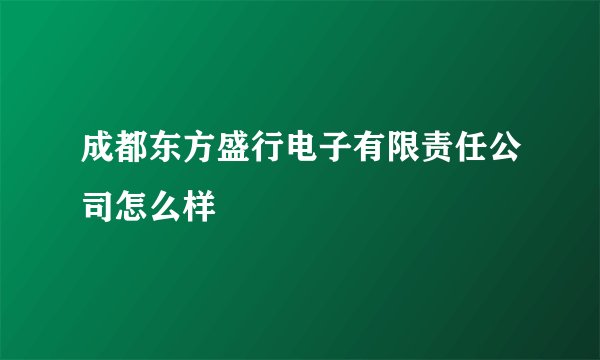 成都东方盛行电子有限责任公司怎么样