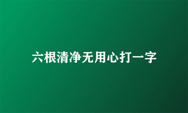 六根清净无用心打一字