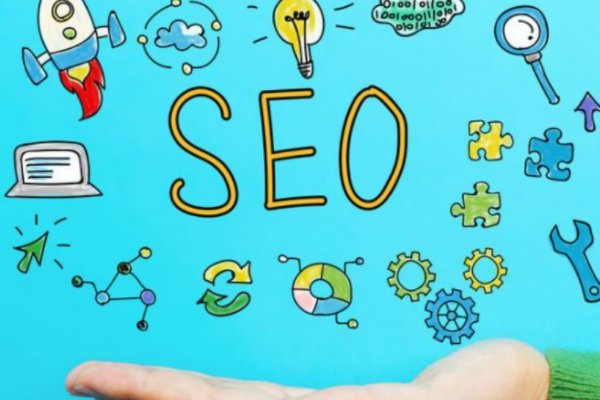 在网络上检索信息时,你一般会通过哪些渠道进行搜索?