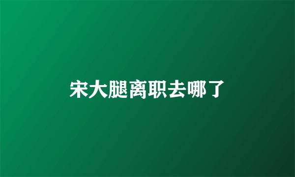 宋大腿离职去哪了