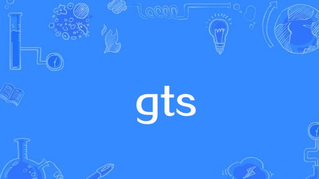 gts是什么意思?