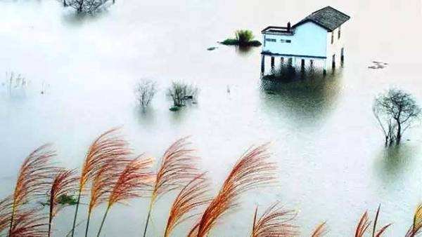 昼短苦夜长，何不秉烛游？是什么意义？？？？