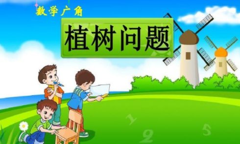 数学广角是什么