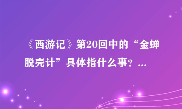 《西游记》第20回中的“金蝉脱壳计”具体指什么事？？拜托了！！！