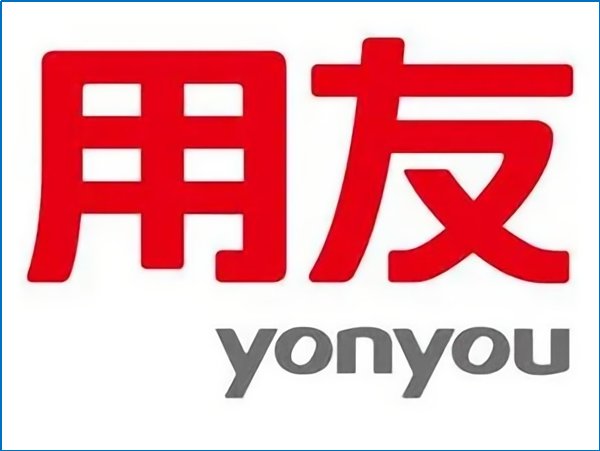 会计电算化的财务软件