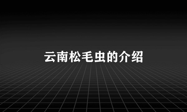 云南松毛虫的介绍