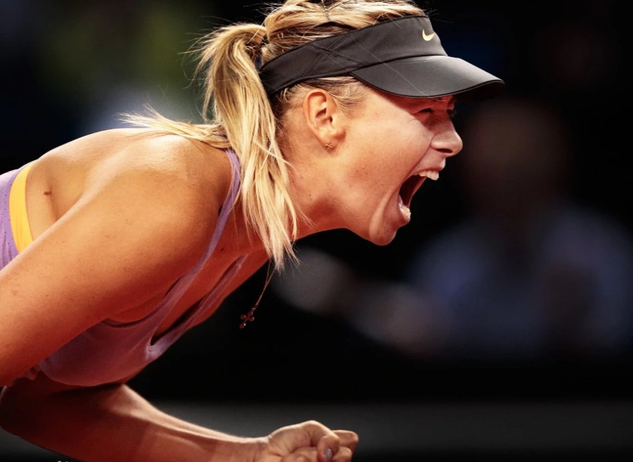 赛点是什么意思