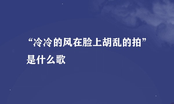 “冷冷的风在脸上胡乱的拍” 是什么歌