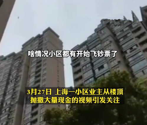 上海一小区女业主楼顶狂撒百元钞票，此事的调查结果如何？