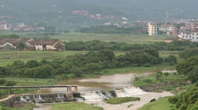 仙游大清的介绍