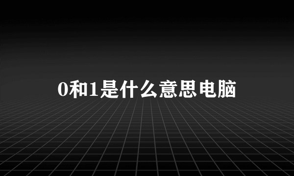 0和1是什么意思电脑