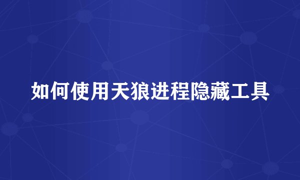 如何使用天狼进程隐藏工具