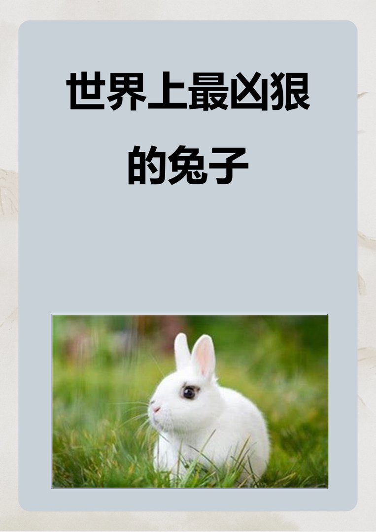 世界上最凶狠的兔子
