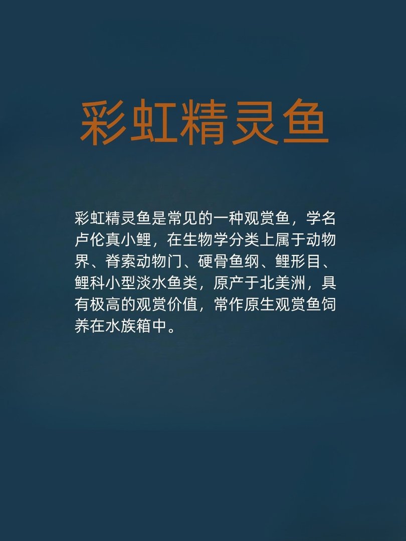 彩虹精灵鱼怎么养呢？