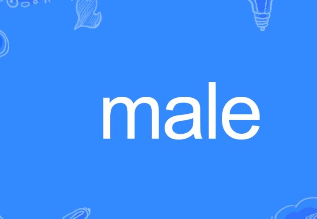 male是什么性别