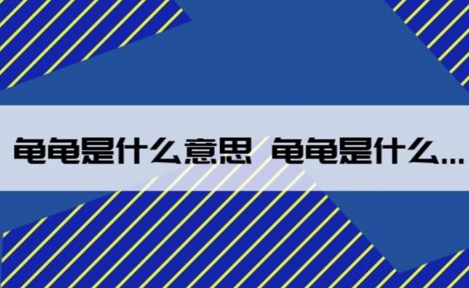 龟龟是什么意思