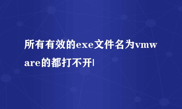 所有有效的exe文件名为vmware的都打不开|